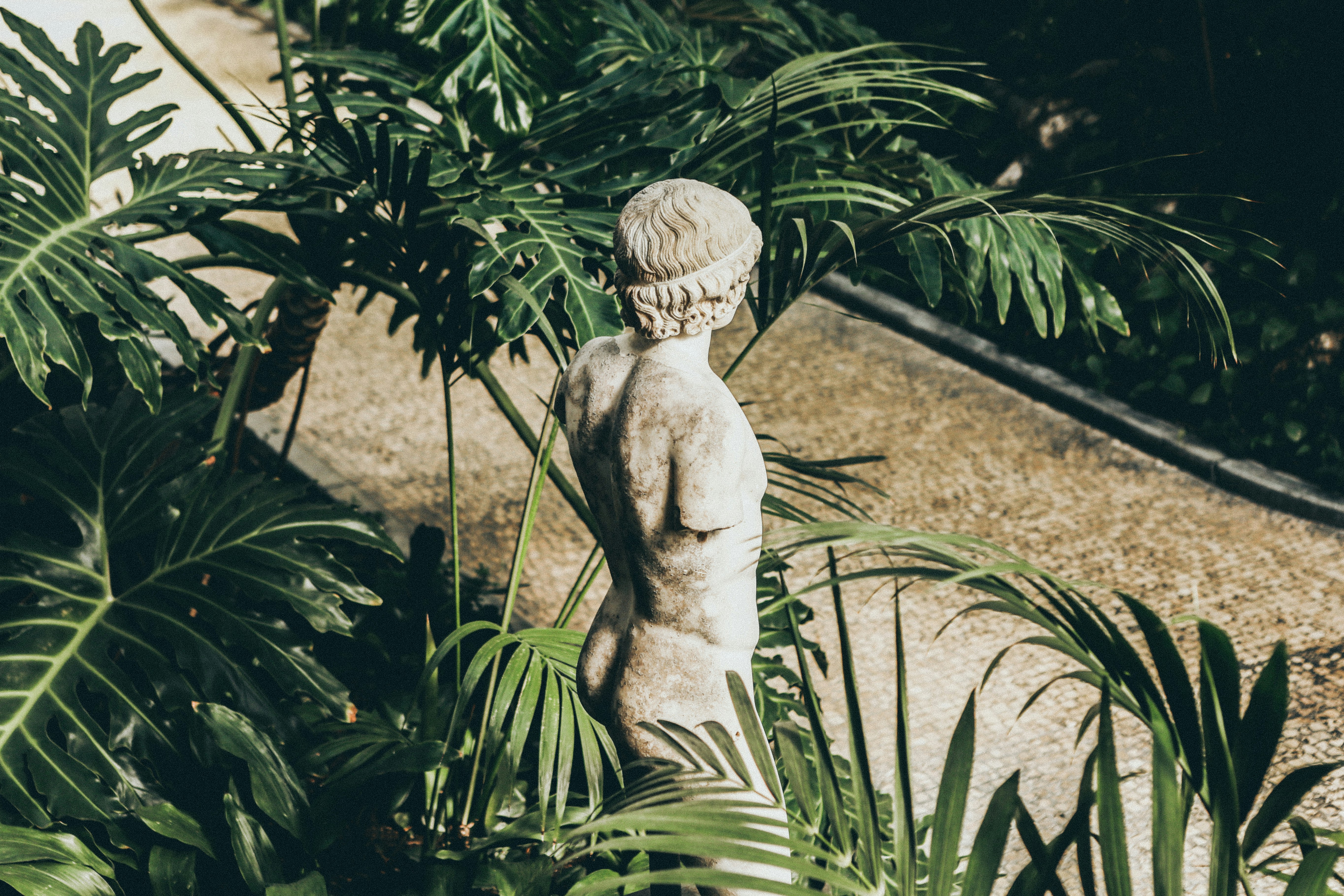 closeup photo of topless statue surrounded by plants